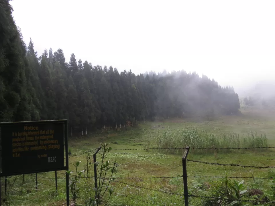 Photo of A Birding Wonderland: Latpanchar by Nisha Bhakat