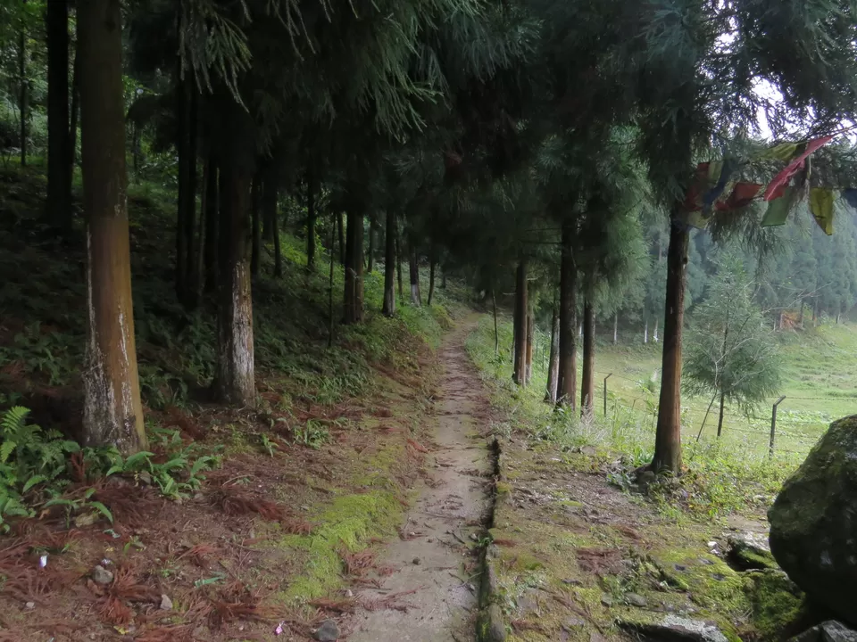 Photo of A Birding Wonderland: Latpanchar by Nisha Bhakat