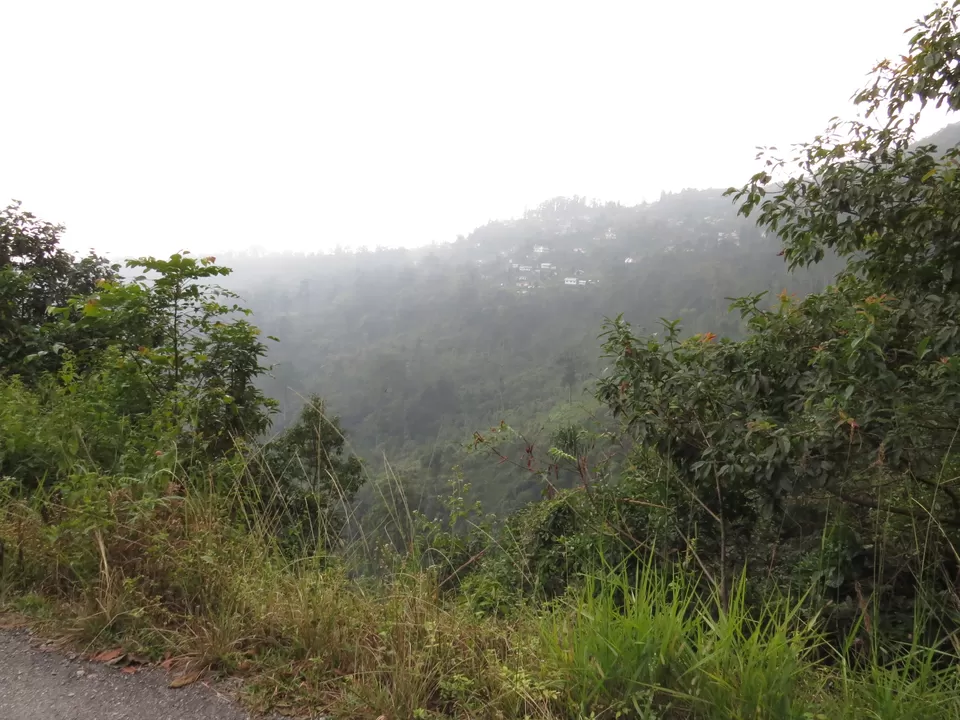 Photo of A Birding Wonderland: Latpanchar by Nisha Bhakat