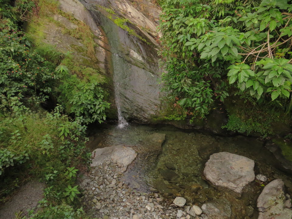 Photo of A Birding Wonderland: Latpanchar by Nisha Bhakat