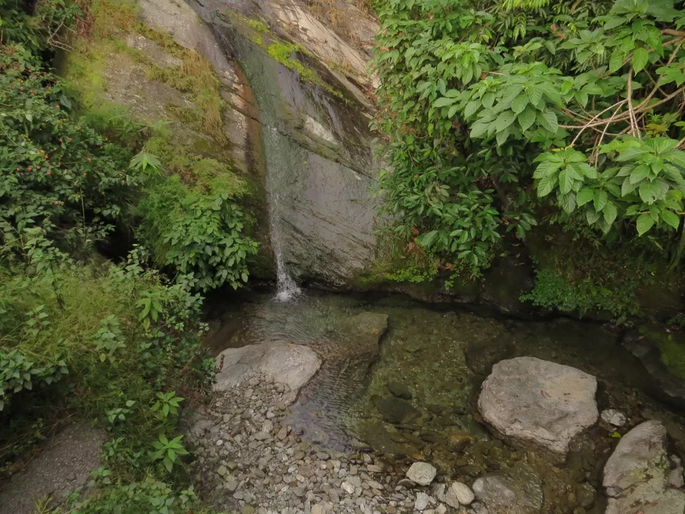 Photo of A Birding Wonderland: Latpanchar by Nisha Bhakat