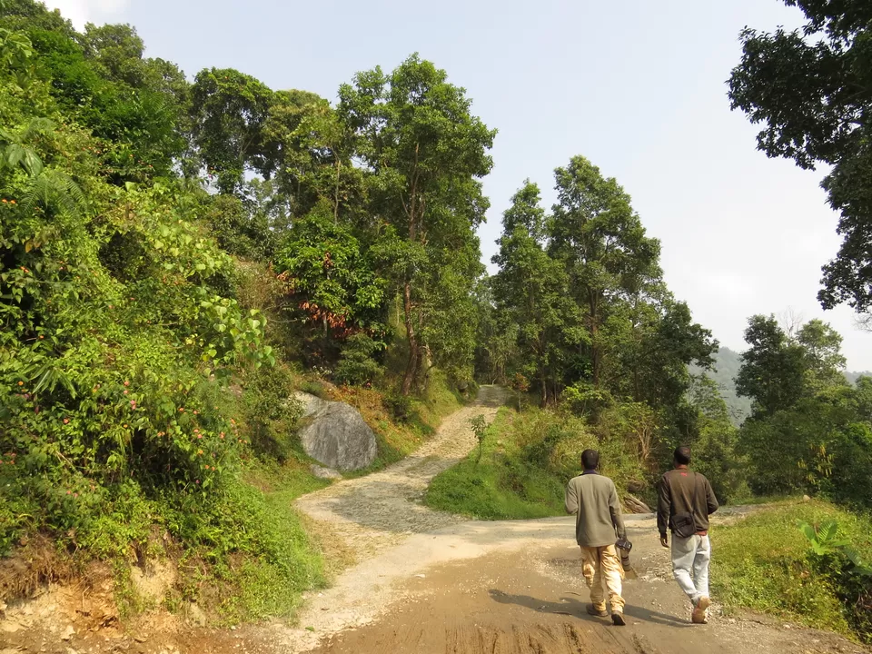 Photo of A Birding Wonderland: Latpanchar by Nisha Bhakat