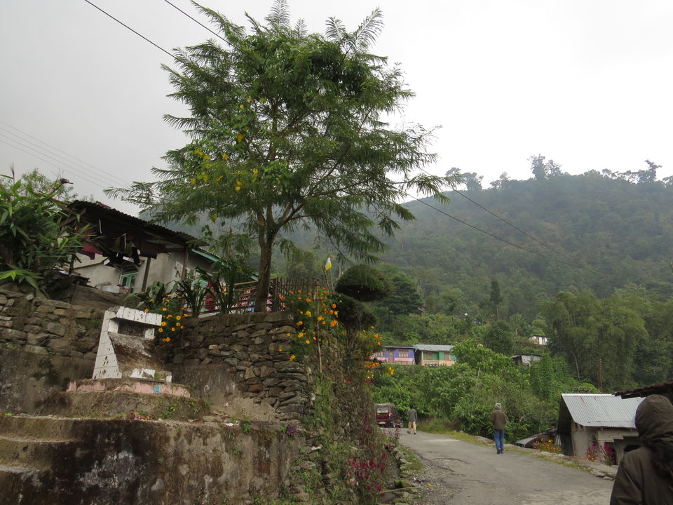 Photo of A Birding Wonderland: Latpanchar by Nisha Bhakat