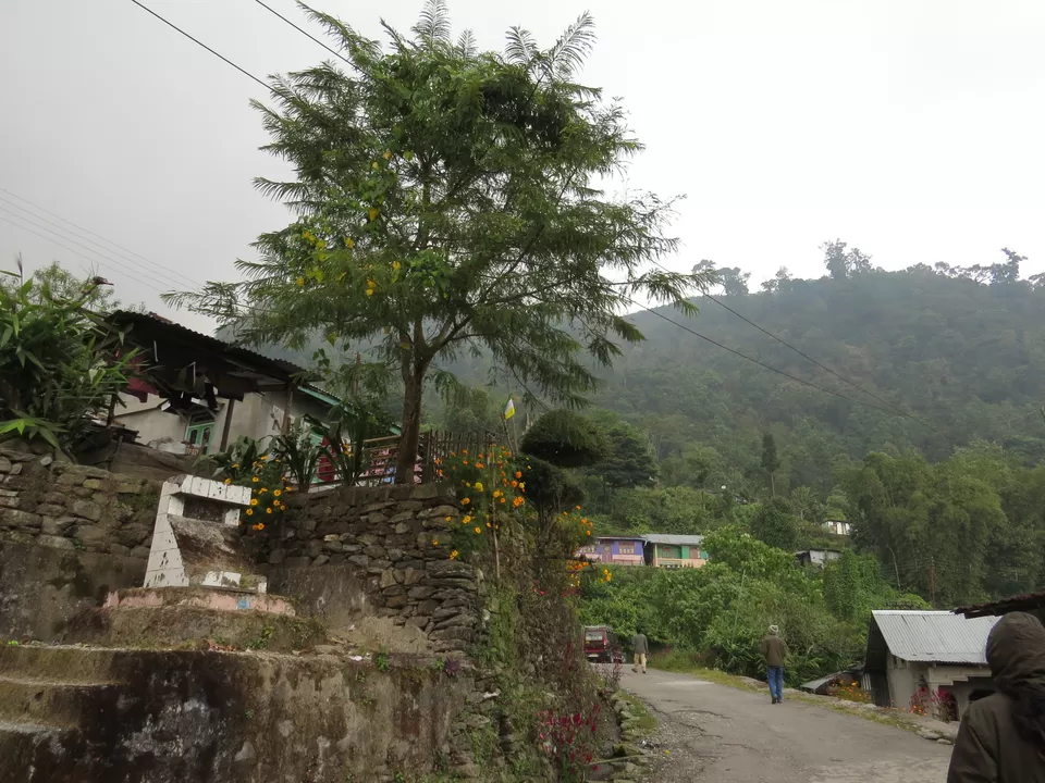 Photo of A Birding Wonderland: Latpanchar by Nisha Bhakat