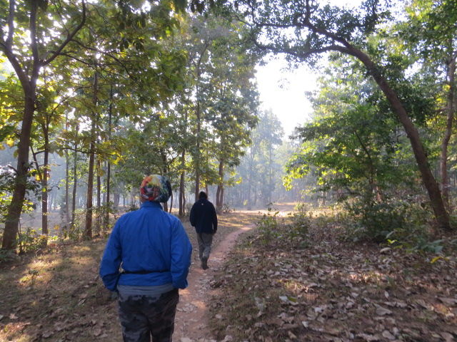 Photo of Pakhi Pahar (Ajodhya Hills Range), Baghmundi - Purulia Road, Matha, West Bengal, India by Nisha Bhakat