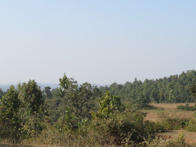 Photo of Trek through Purulia by Nisha Bhakat