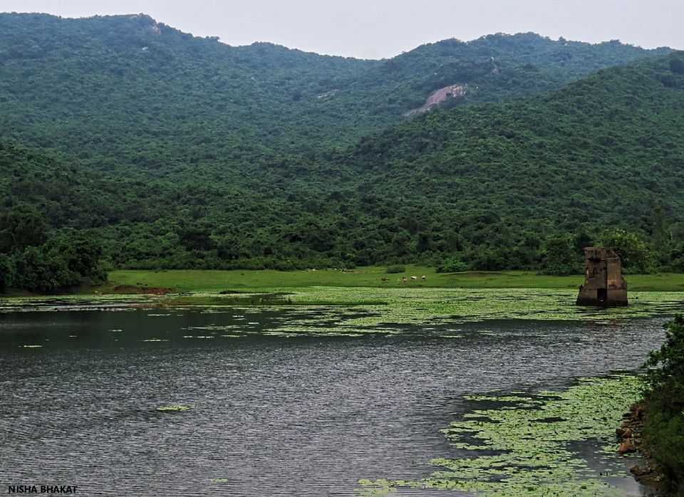 Photo of Balasore, Odisha, India by Nisha Bhakat