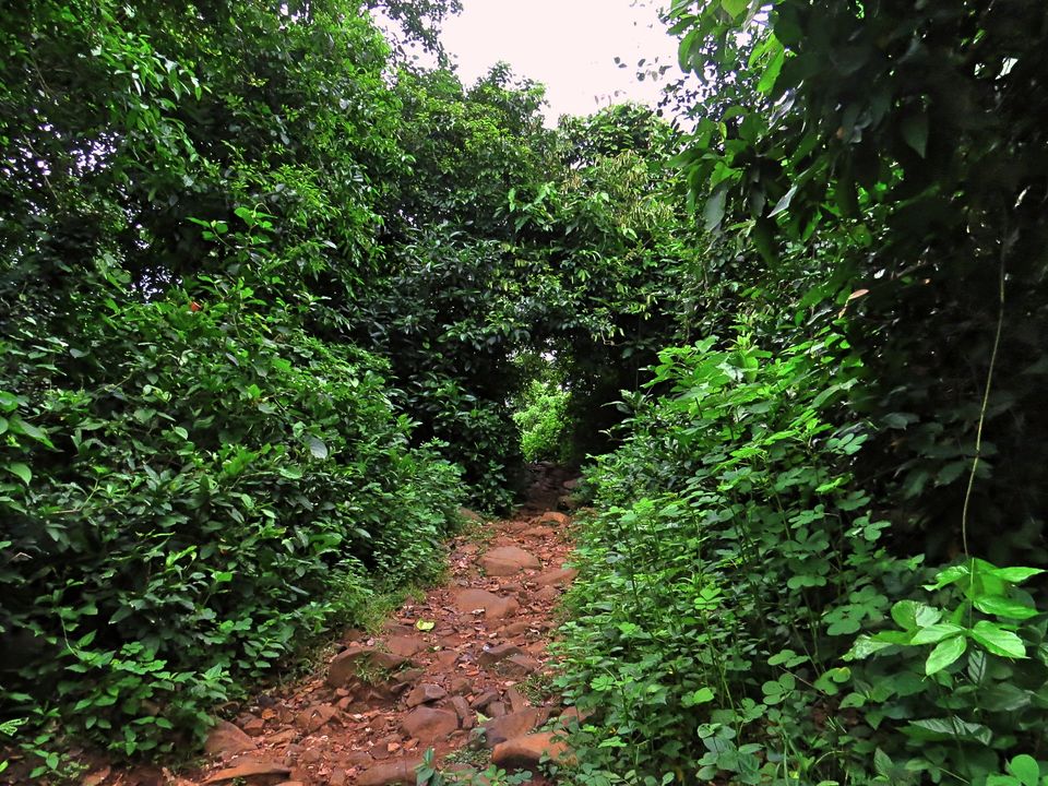 Photo of Panchalingeshwar Temple, Nilagiri, Odisha, India by Nisha Bhakat