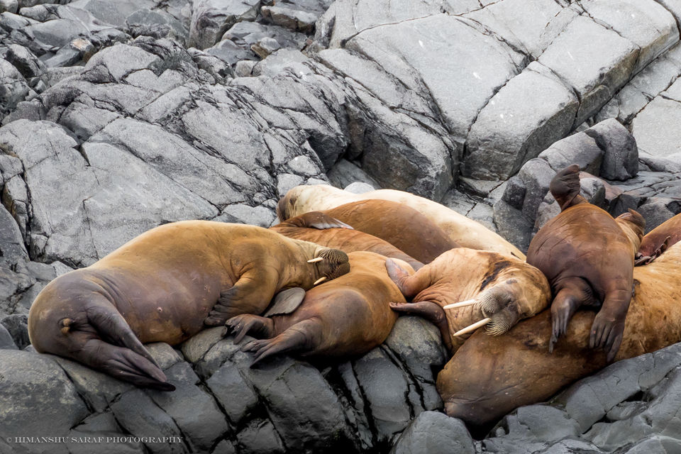 Photo of A Voyage to the Land’s End by Himanshu Saraf