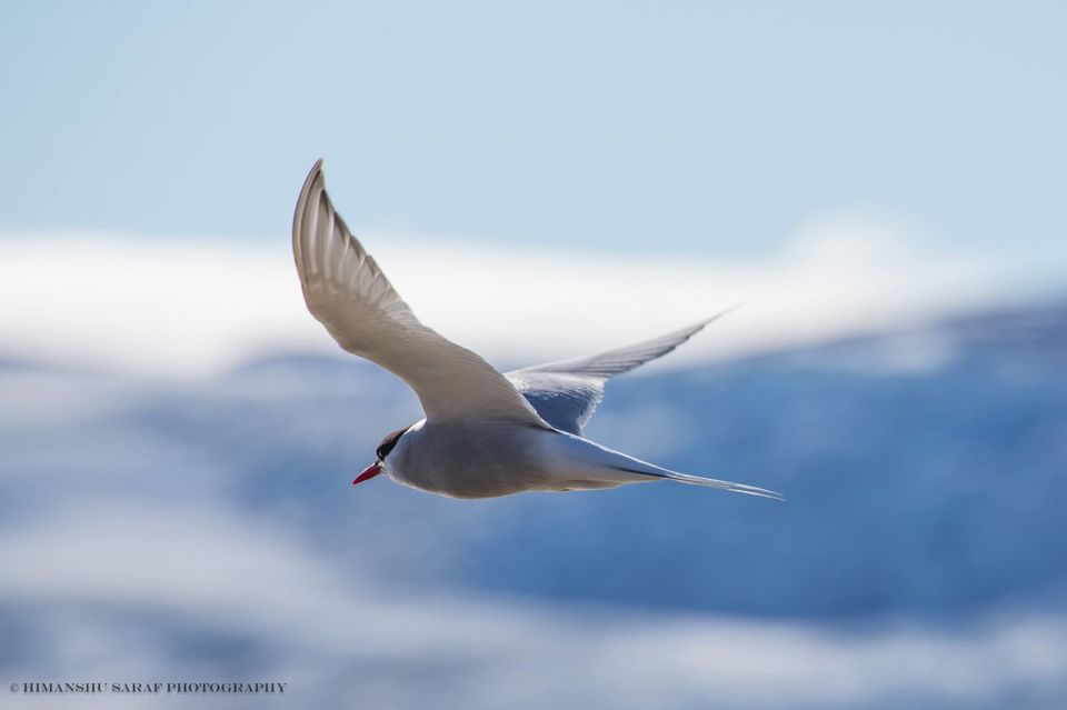 Photo of A Voyage to the Land’s End by Himanshu Saraf