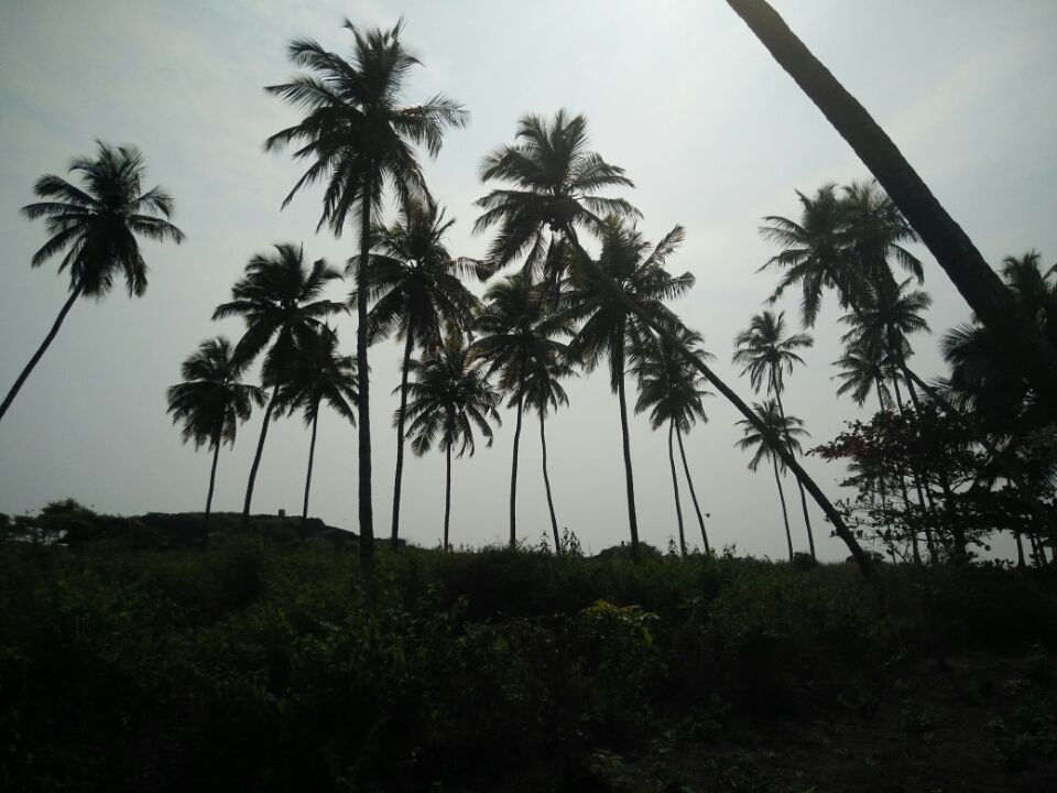 Photo of A day in mid of ocean by Sowmya