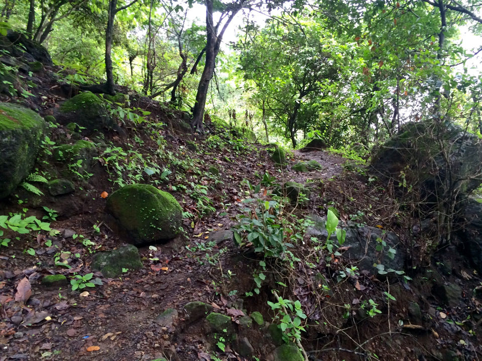 Photo of Chasing Monsoon In Western Ghats: Trek To Matheran by ishan gupta