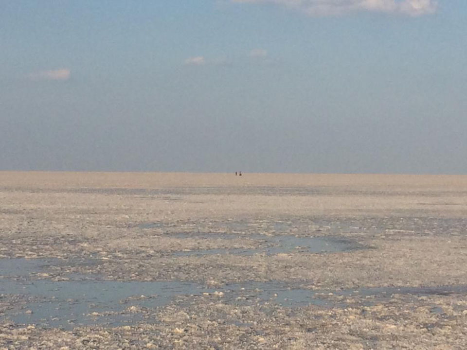 Photo of Have You heard of Salt Desert in India? by ishan gupta