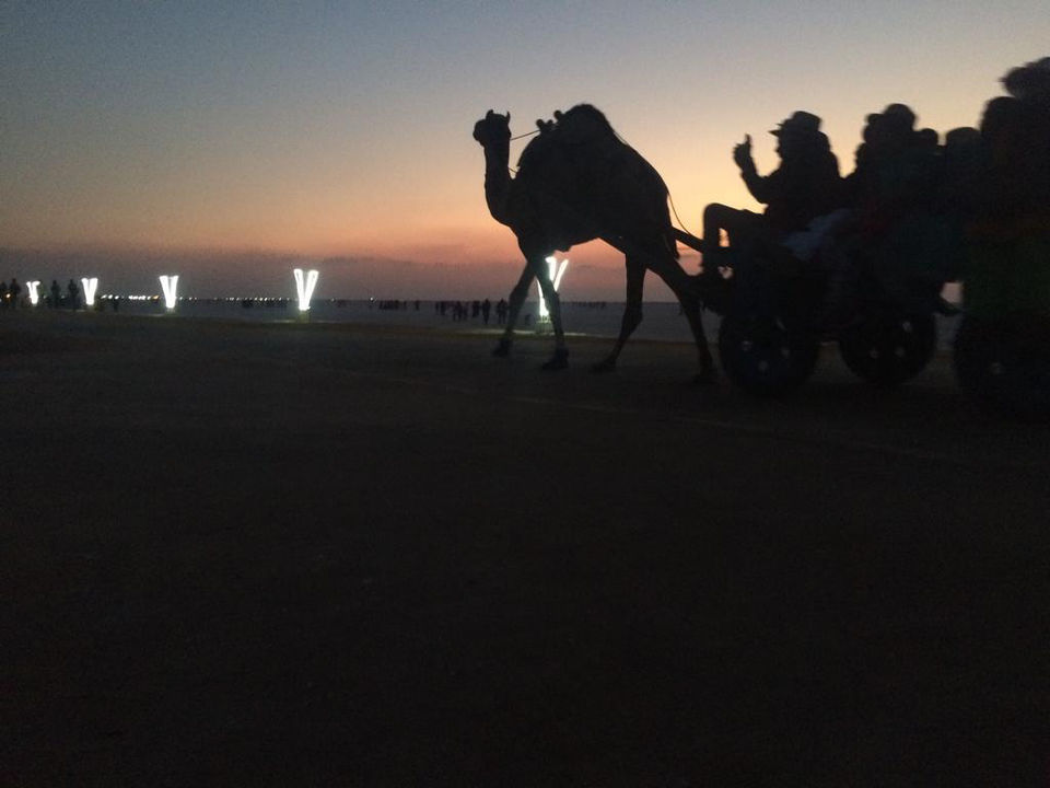 Photo of Have You heard of Salt Desert in India? by ishan gupta