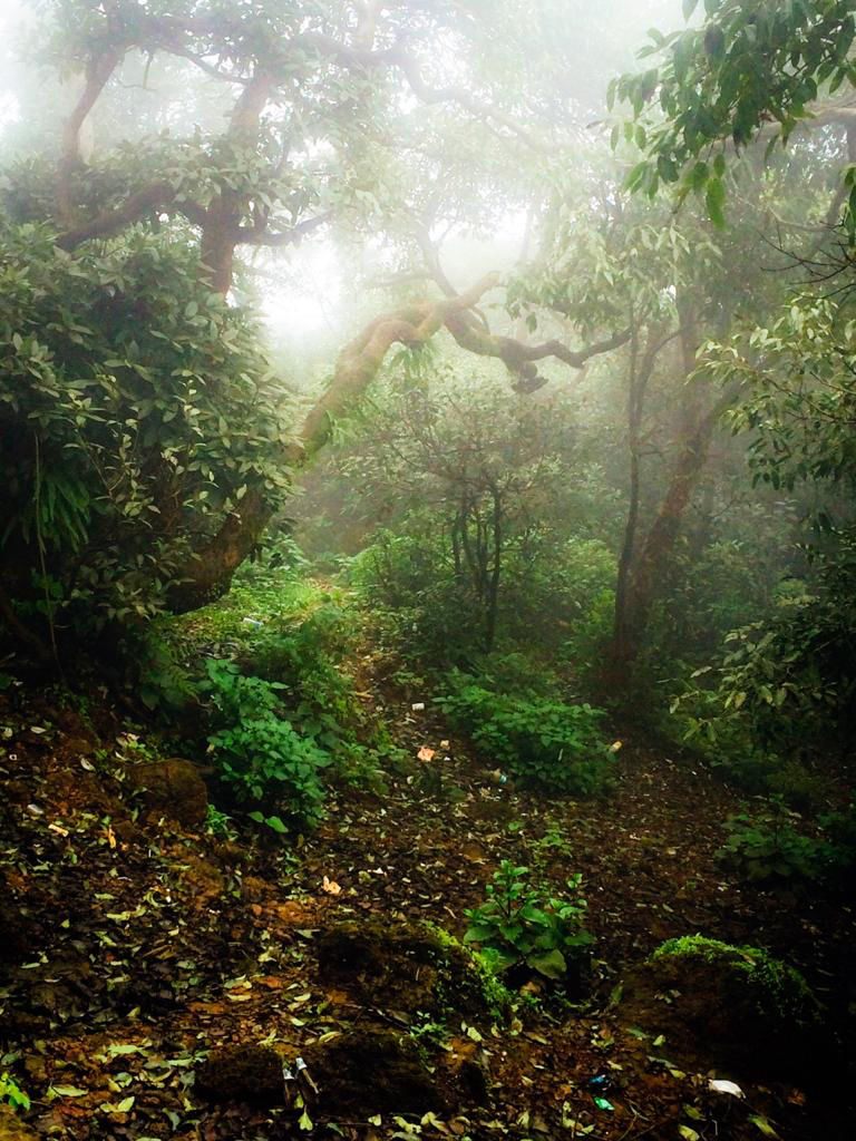 Photo of Mahabaleshwar : Treat of Vistas by ishan gupta
