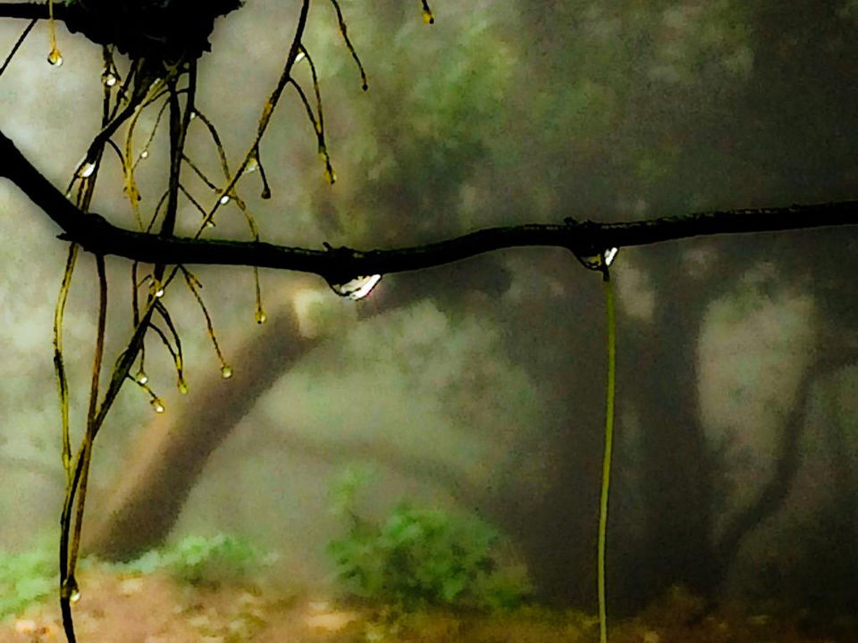 Photo of Mahabaleshwar : Treat of Vistas by ishan gupta