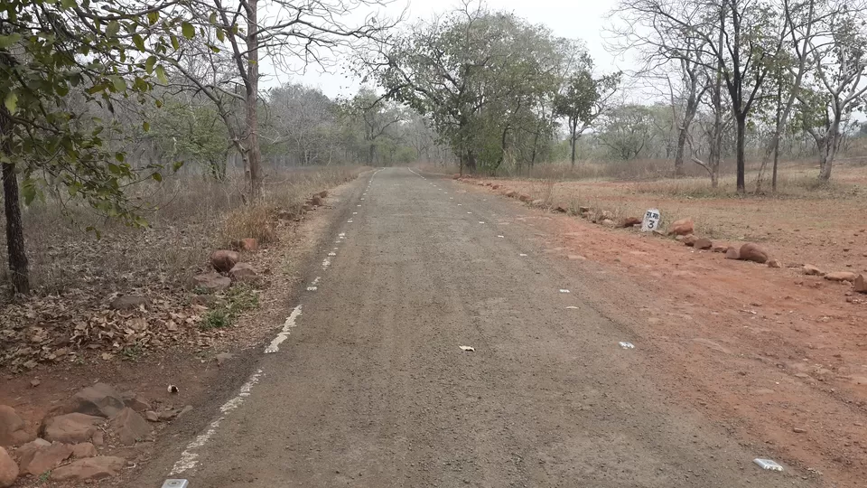 Photo of Bhimbetka rock shelters, Amchha Khurd, Madhya Pradesh, India by nidhantrika