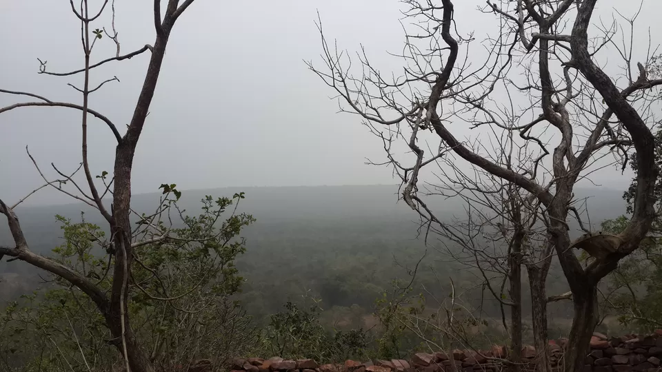 Photo of Bhimbetka rock shelters, Amchha Khurd, Madhya Pradesh, India by nidhantrika