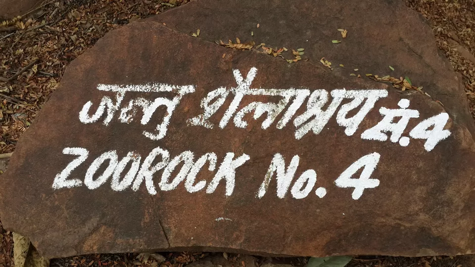 Photo of Bhimbetka rock shelters, Amchha Khurd, Madhya Pradesh, India by nidhantrika