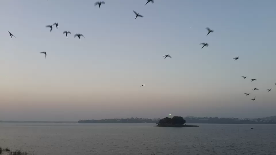 Photo of Upper Lake, Bhopal, Madhya Pradesh, India by nidhantrika