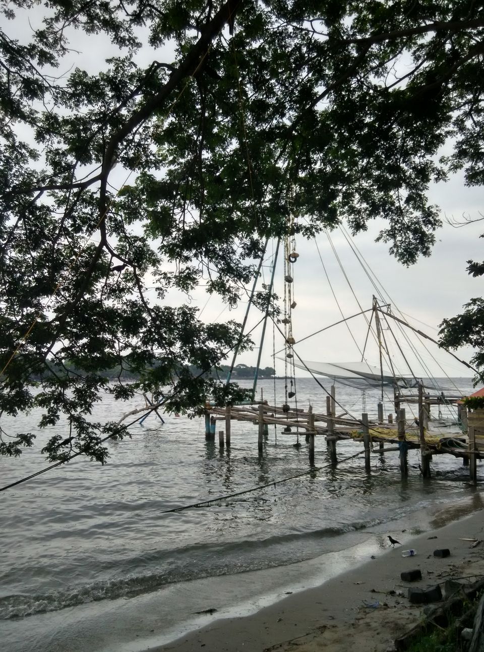 Photo of That feeling called "Kochi" by nidhantrika