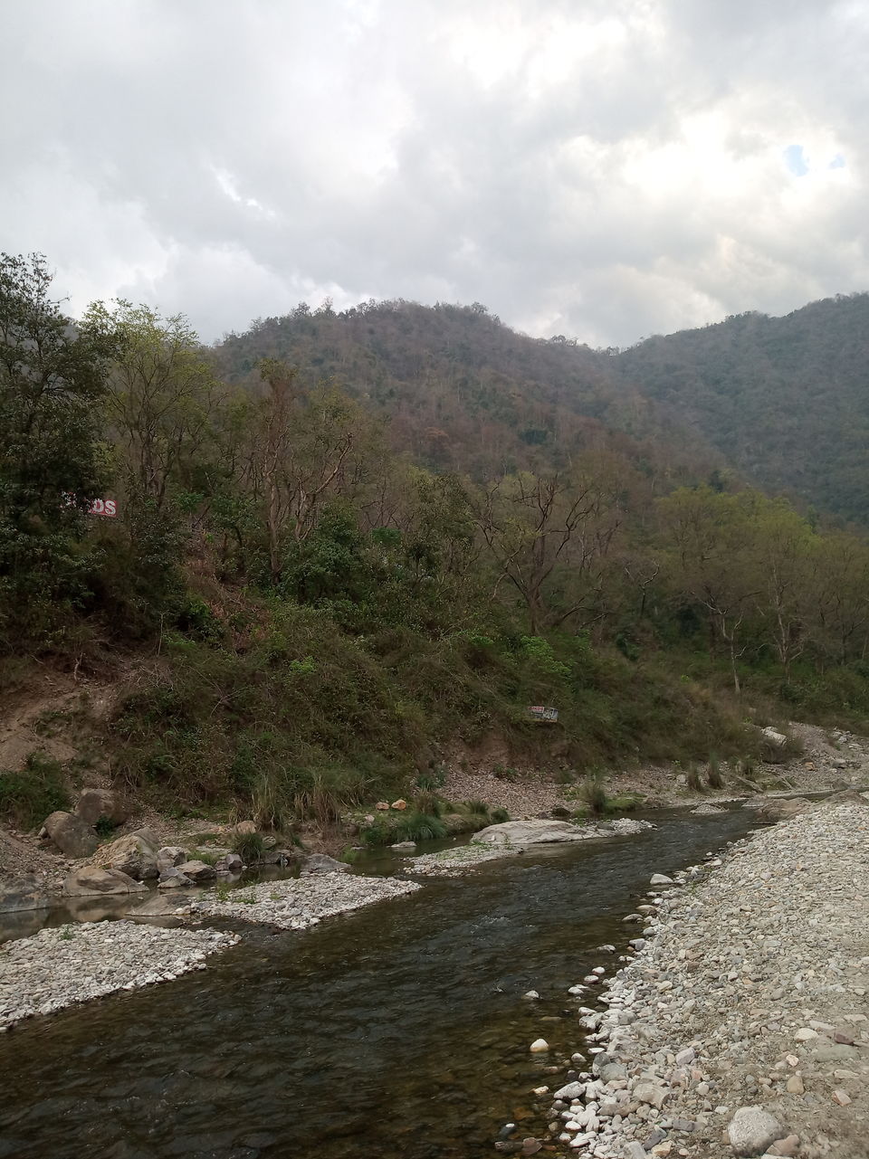 Photo of Enchanting Rishikesh by nidhantrika