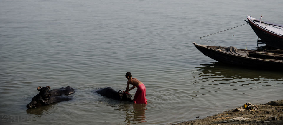 Photo of Varanasi to Banaras - A Food Trip by Rahul Banerjee