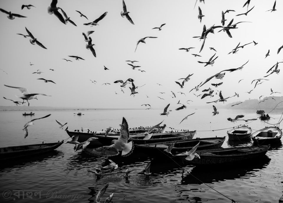 Photo of Varanasi to Banaras - A Food Trip by Rahul Banerjee