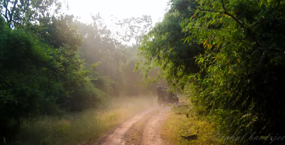 Photo of Bandhavgarh Tiger Reserve m.p., Gohadi, Madhya Pradesh, India by Rahul Banerjee