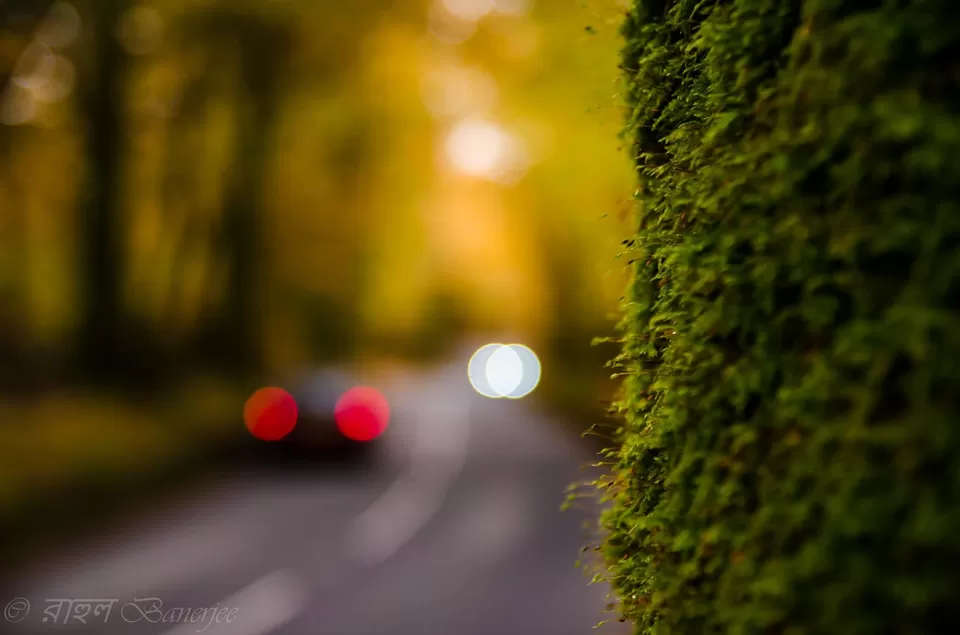 Photo of Exmoor National Park, United Kingdom by Rahul Banerjee
