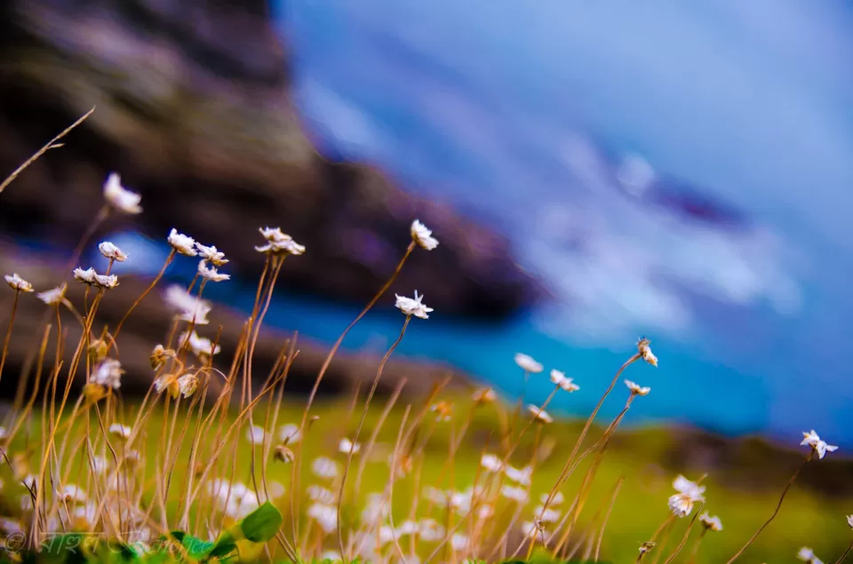 Photo of Portreath Beach, Battery Hill, Portreath, United Kingdom by Rahul Banerjee