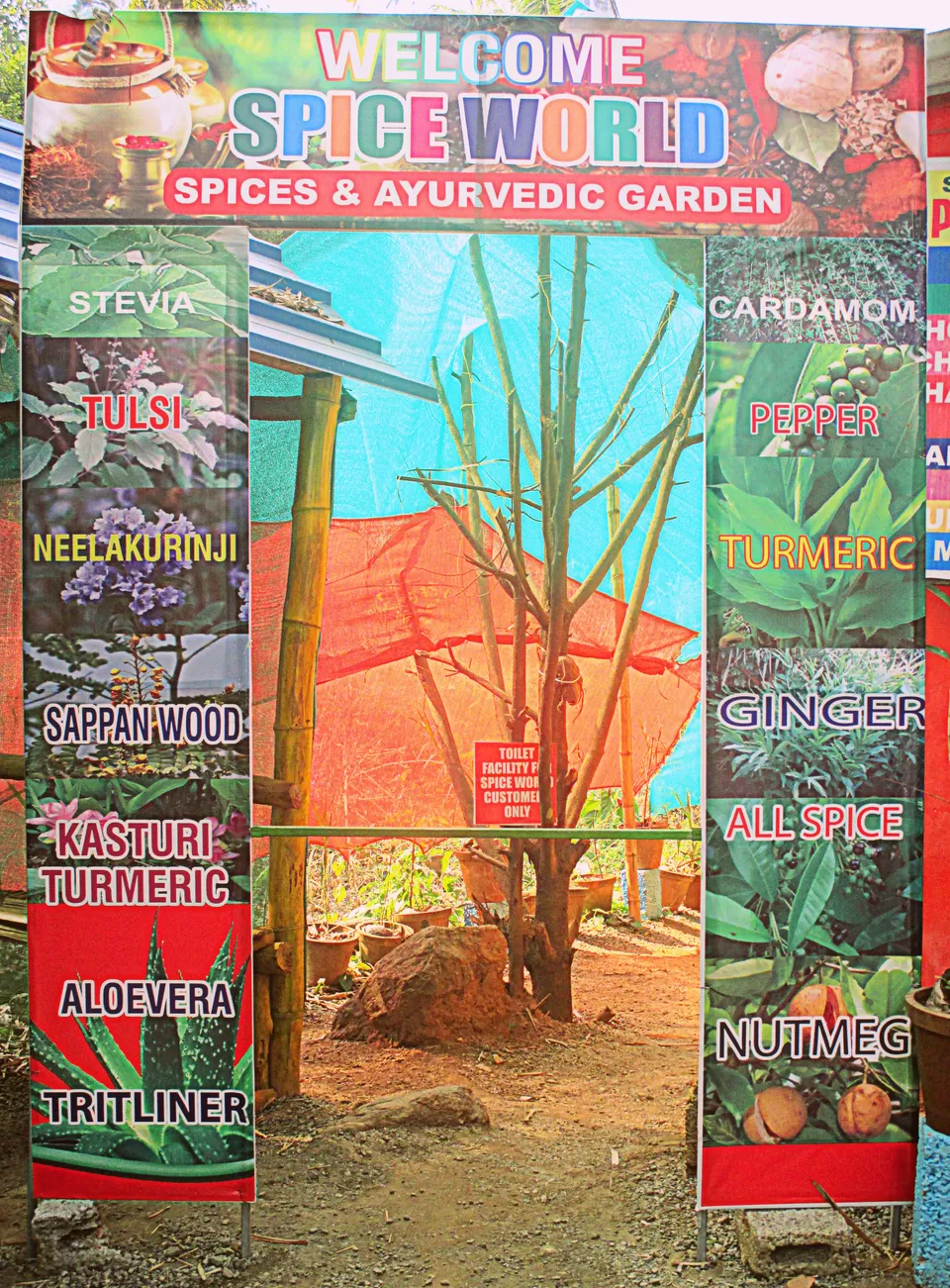 Photo of Munnar, Kerala, India by Ritika Kapoor