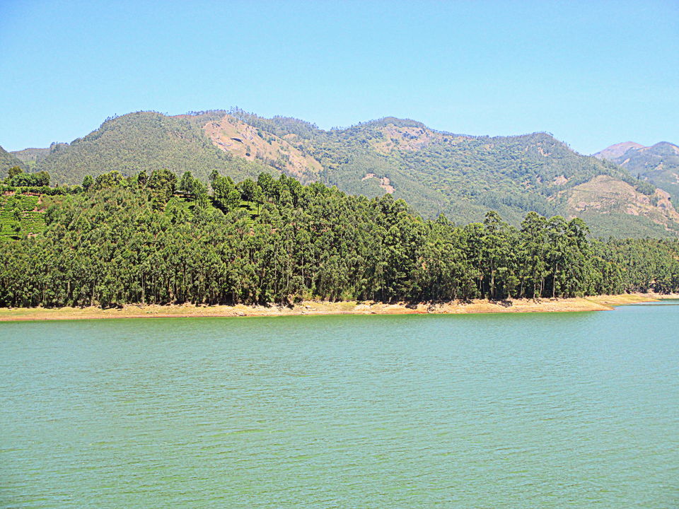 Photo of Munnar, Kerala, India by Ritika Kapoor
