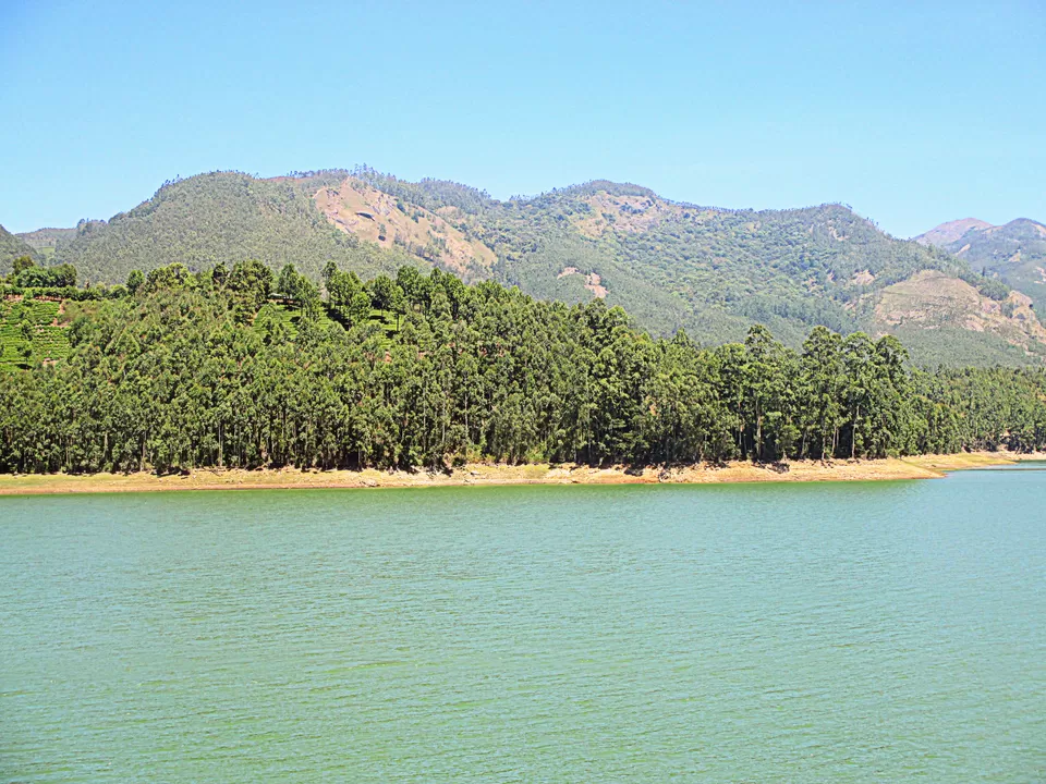 Photo of Munnar, Kerala, India by Ritika Kapoor