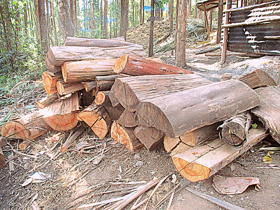 Photo of Munnar, Kerala, India by Ritika Kapoor