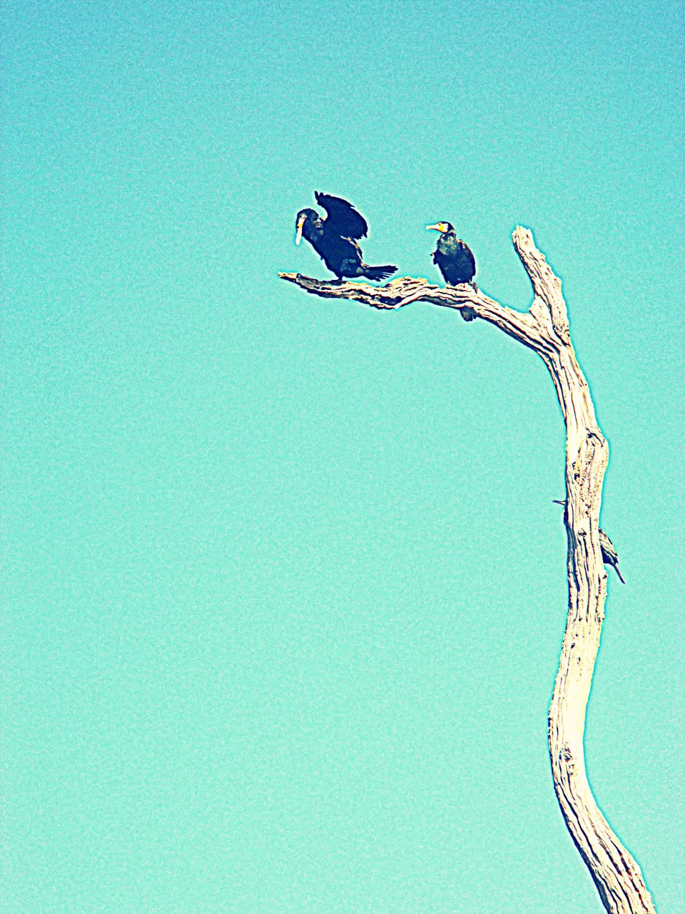 Photo of Thekkady, Kumily, Kerala, India by Ritika Kapoor