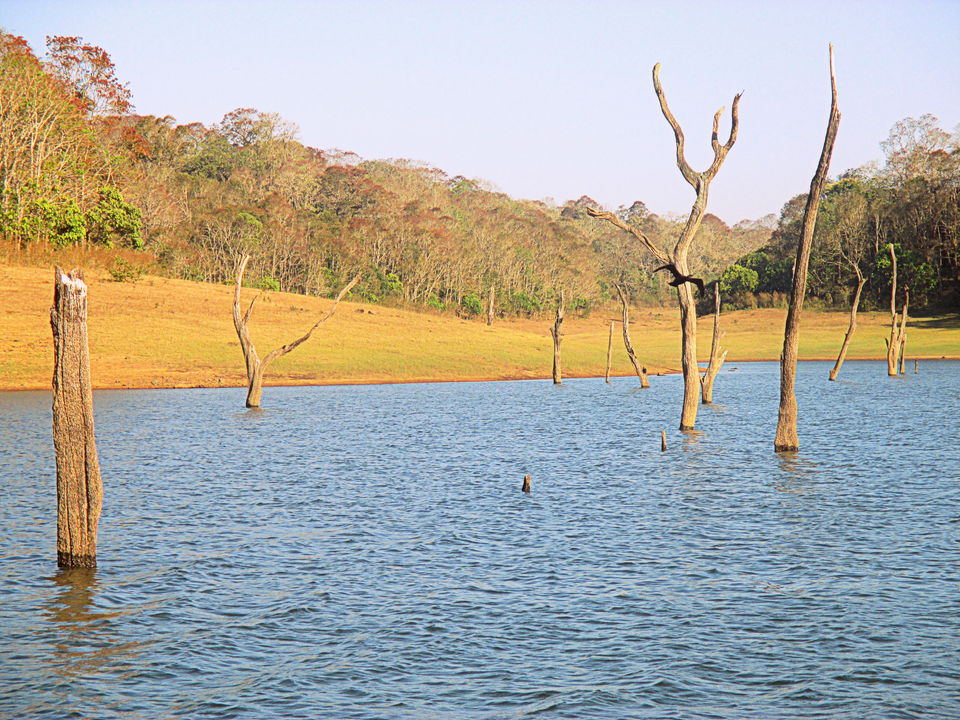 Photo of Thekkady, Kumily, Kerala, India by Ritika Kapoor