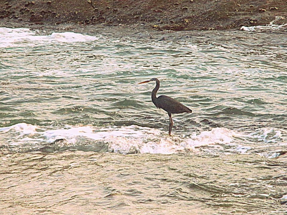 Photo of Kanyakumari, Tamil Nadu, India by Ritika Kapoor