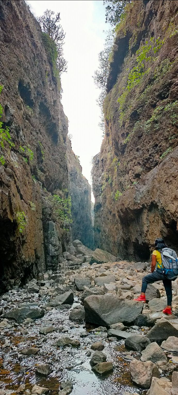 Photo of Sandhan Valley, Maharashtra by Archi Karia