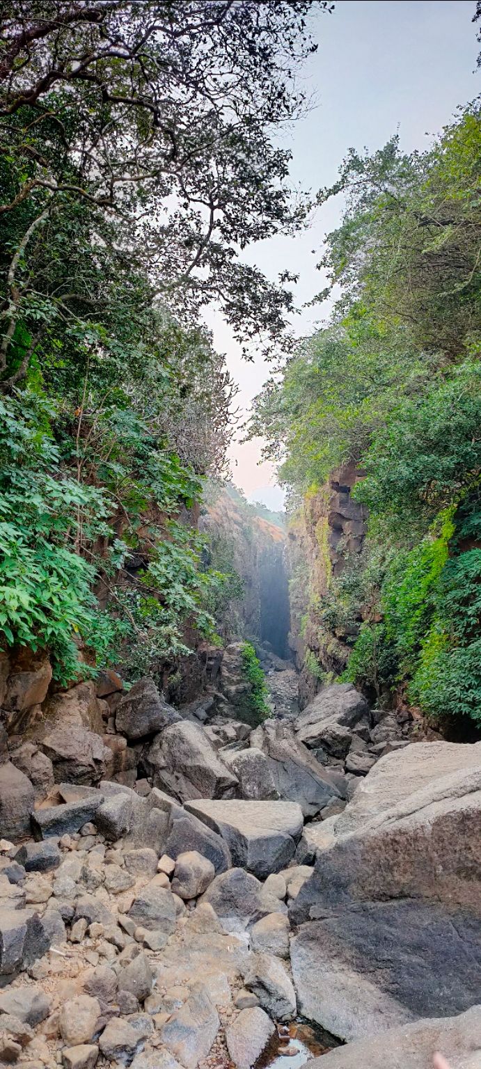 Photo of Sandhan Valley, Maharashtra by Archi Karia