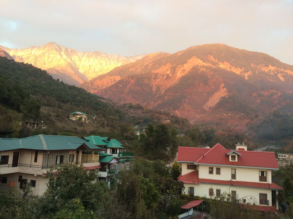 Photo of A Surreal Paradise 2/6 by Resham Bhatia