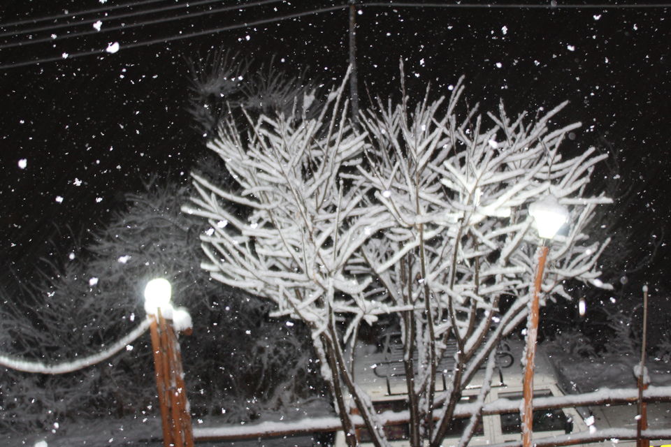 Photo of It was our Auli-day ! #photosofsnow 1/21 by Filterkaapitravel