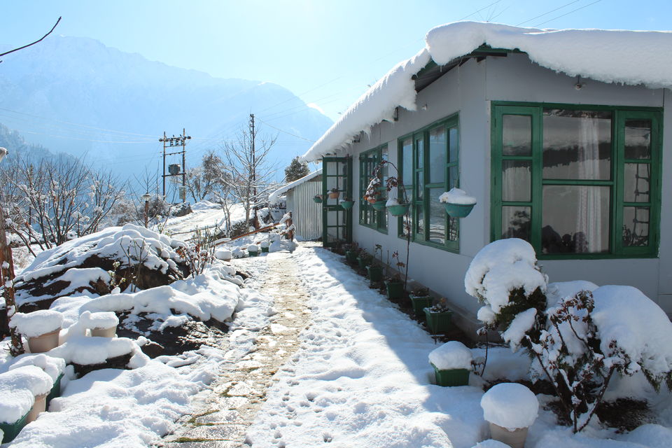 Photo of It was our Auli-day ! #photosofsnow 2/21 by Filterkaapitravel
