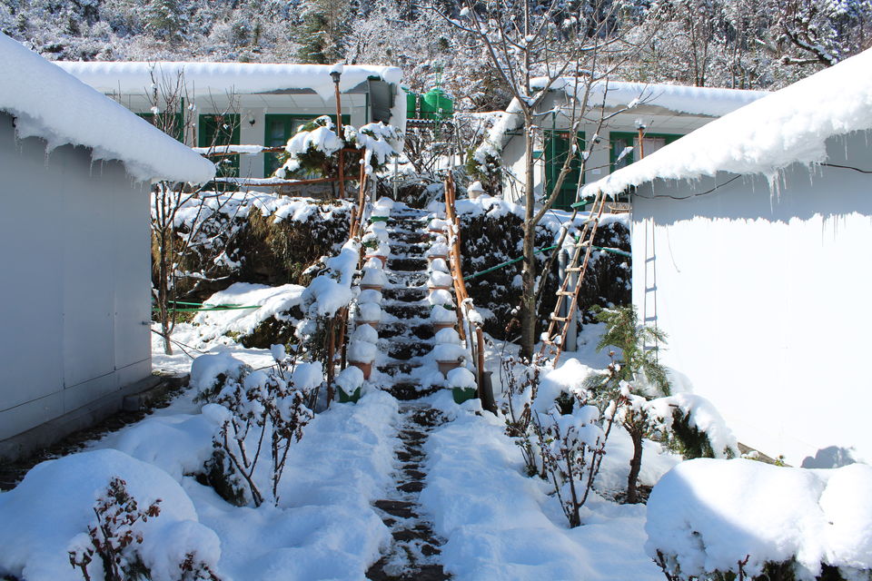 Photo of It was our Auli-day ! #photosofsnow 5/21 by Filterkaapitravel