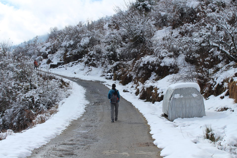 Photo of It was our Auli-day ! #photosofsnow 6/21 by Filterkaapitravel