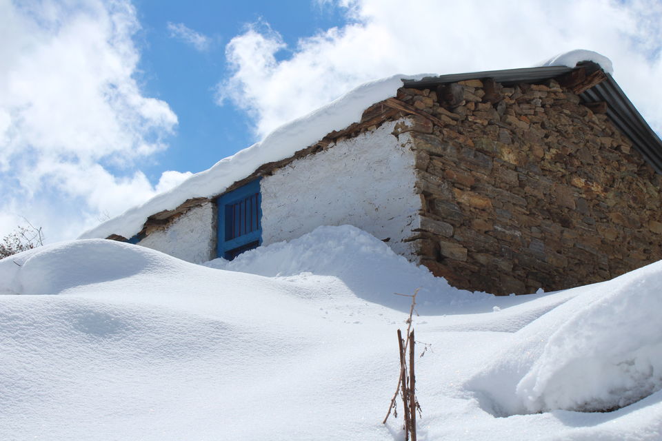 Photo of It was our Auli-day ! #photosofsnow 10/21 by Filterkaapitravel