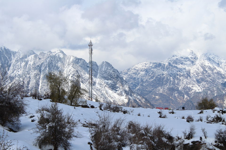 Photo of It was our Auli-day ! #photosofsnow 11/21 by Filterkaapitravel