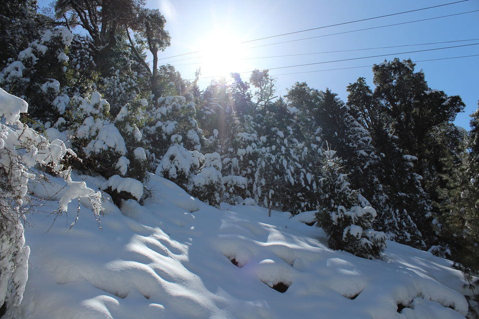 Photo of It was our Auli-day ! #photosofsnow 16/21 by Filterkaapitravel