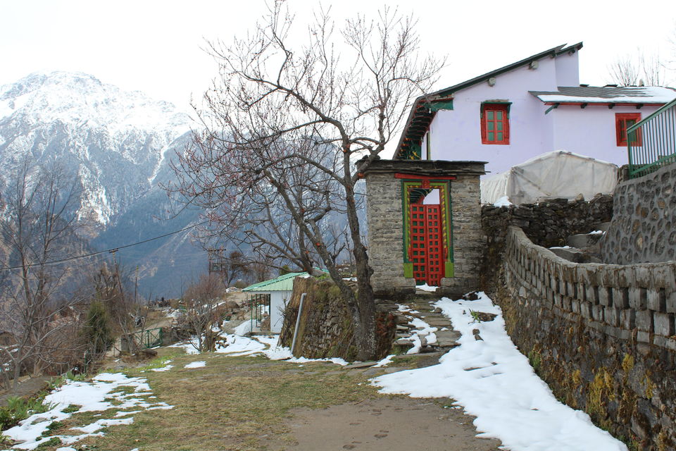 Photo of It was our Auli-day ! #photosofsnow 18/21 by Filterkaapitravel
