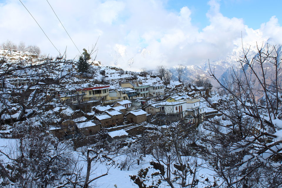 Photo of It was our Auli-day ! #photosofsnow 20/21 by Filterkaapitravel